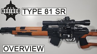 Norinco Type 81 SR Overview Dragunov at Home [upl. by Odraode632]