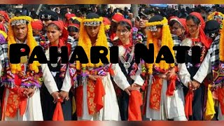 Himachali Traditional dance  Pahari Dance  Naati   Latest Pahari song  Deities Of HImachal [upl. by Morissa]