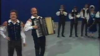 Slovenski muzikantje  Moja dezela 1987 [upl. by Norman]