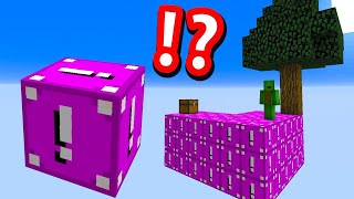 Minecraft Skyblock but EVERYTHING Is MOST DANGEROUS LUCKY BLOCKS [upl. by Vladimar49]