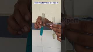 Confirmatory Test For ProteinBiuret Test  Class 12 Food Analysis [upl. by Aehsal]