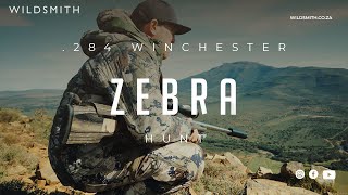 284 WINCHESTER amp THE ZEBRA [upl. by Oruasi934]