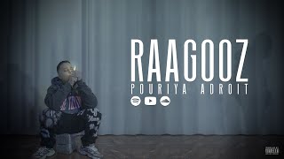 Pouriya Adroit  Raagooz Official Music Video [upl. by Jan888]