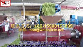 pasturage grass juice extractor [upl. by Russom80]