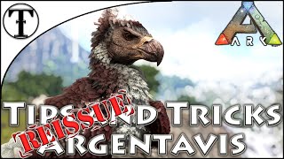 Fast Argentavis Taming Guide  Ark  Survival Evolved Tips and Tricks [upl. by Llehcam]