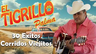 El Tigrillo Palma  20 Exitos   Puros Corridos Viejitos Mix Pesados [upl. by Iniretake]