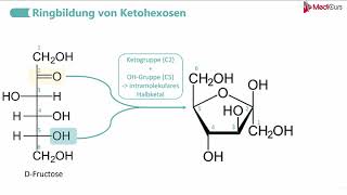 Ringbildung von AldohexosenKetohexosen [upl. by Repooc136]