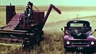 1956 Wheat Farming America Buğday Çiftçiliği [upl. by Gilder]