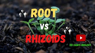 Difference between Rhizoids and Root [upl. by Hpeosj]