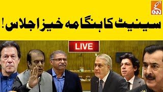 LIVE  Heated Debate In Senate Session  Govt Vs PTI  GNN [upl. by Oneil60]