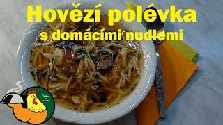 Hovězí polévka domácí nudle [upl. by Shatzer]