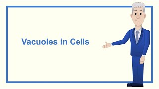 A Level Biology Revision quotVacuoles in Cellsquot [upl. by Raphael919]