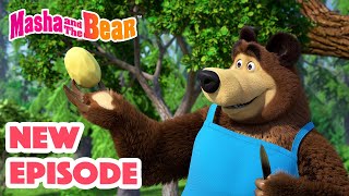 Masha and the Bear 2024 🎬 NEW EPISODE 🎬 Best cartoon collection 🥔 Soup Pursuit 🥕🍲 [upl. by Irama]