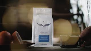 Intelligentsia Coffee  Celebration Seasonal Blend [upl. by Li]