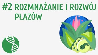 Rozmnażanie i rozwój płazów 2  Płazy [upl. by Valda]