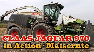 CLAAS JAGUAR 970 mit CLAAS ORBIS 900 in Action  Maisernte 2015 [upl. by Ahsats]