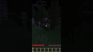 Flechazo minecraft [upl. by Nikal]