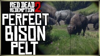 HOW TO GET A PERFECT BISON PELT  RED DEAD REDEMPTION 2 PRISTINE BISON HUNT [upl. by Auohp]