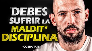 OBLÍGATE A SUFRIR LA DISCIPLINA DE HOY  Andrew Tate motivación [upl. by Ailana321]