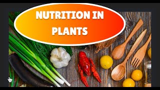 NUTRITION IN PLANTS CLASS 7 PART1 [upl. by Pheni]