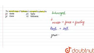 The second stage of hydrosere is occupied by plants like [upl. by Coulson491]