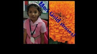 Mari Gold stories by Pre Kg Kids  Simple and Easy [upl. by Destinee]