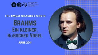 Brahms  liebeslider waltzer  Ein kleiner hübscher Vogel [upl. by Eahc]