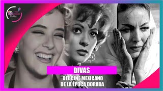 GRANDES DIVAS que mantienen viva la ÉPOCA DE ORO DEL CINE MEXICANO [upl. by Dolley]