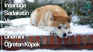 9 Yıl Sahibini Aynı Yerde Bekleyen Köpek Hachiko [upl. by Brig266]