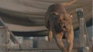 Turner and Hooch promo for Hallmark Channel [upl. by Annuahs]