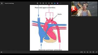 GENERAL OR SYSTEMIC CIRCULATION CARDIAC CIRCULATIONBLOOD SUPPLY TO HEART LUNGS BRAIN BODY [upl. by Ahselat]