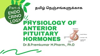 Anterior Pituitary Hormones  EndocrinologyPart4Tamil [upl. by Ashmead77]