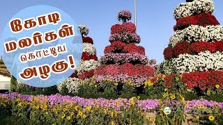 Dubai Miracle Garden  Miracle Garden Dubai 2019 – A Real Miracle [upl. by Kenay]