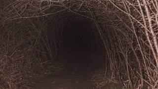 a playlist for exploring ominous places [upl. by Kutchins574]