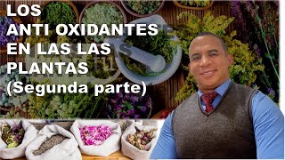 LOS ANTIOXIDANTES EN LAS PLANTAS SEGUNDA PARTE [upl. by Nwahsat]