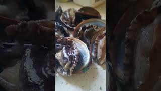 fresh abalone for lunch abalone seafood [upl. by Yelsew]