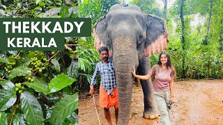 Thekkady Kerala  Things to do in Thekkady  Places to Visit Eat Stay  AZ Travel Guide [upl. by Yanel]