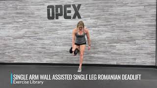 Single Arm Wall Assisted Single Leg Romanian Deadlift [upl. by Lsiel]