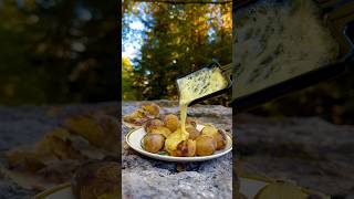 Raclette Swiss Dish  Cooking in Swiss woods [upl. by Hgielram]