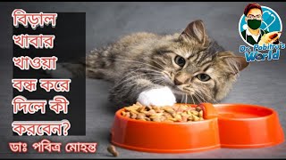 বিড়াল হঠাৎ করে খাওয়া বন্ধ করে দিলে আপনার করণীয়  Cat Not Eating Causes and Treatments [upl. by Anirbes915]