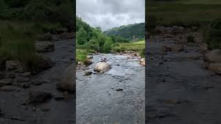 Wicklow Mountain Ireland [upl. by Tnomed]