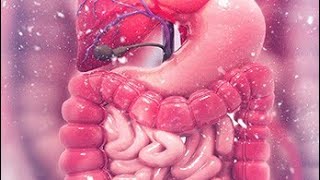 Intestinal obstruction part 1 [upl. by Yblok175]