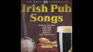 The Best 40 Favourite Irish Pub Drinking Songs  Various Artists  Over 2 Hours [upl. by Natalina834]