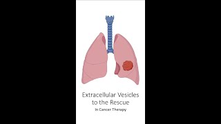 Shorts  Extracellular Vesicles to the Rescue [upl. by Nathanoj976]