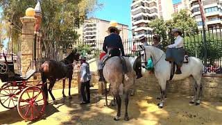 Feria Del Caballo Jerez De La Frontera 2022 [upl. by Ramu885]