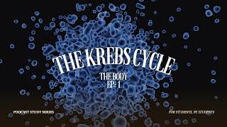 The Krebs Cycle • The Body Ep1 • Podcast Study Series • [upl. by Giraud]