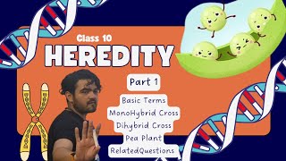 Class X Heredity Part 1 MonoDiHybrid Cross [upl. by Nolyad]