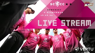 LIVE STREAM Somerset vs Glamorgan T20 [upl. by Agnew80]