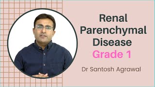 Renal Parenchymal Disease Grade 1 I Causes and treatment I Grade 1 Kidney Failure [upl. by Stella]