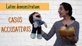 Latin lesson for beginners  Accusative case  Casus accusativus [upl. by Allmon]